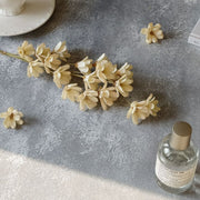 Preserved Flowers Melon seed Flowers Handmade Japanese | DreamGarden SG