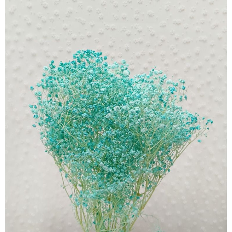 🇸🇬[SG Stock] Preserved Babybreath Dried Flower Singapore Local Wholesalers Home Decoration/DIY/Wedding