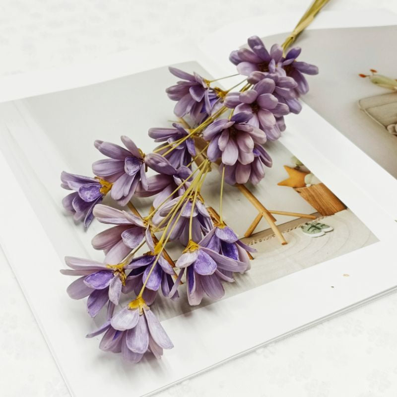 🇸🇬[SG Stock]Dream Garden Pearl color Golden Sliver Dried Flower Melon seed Flowers Handmade Japanese Wood Flowers