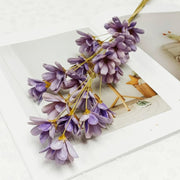 Pearl color Golden Sliver Dried Flower Melon seed Flowers | DreamGarden SG