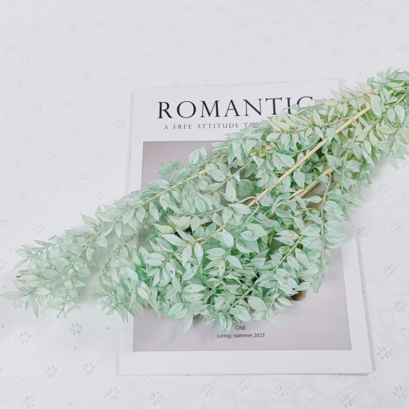🇸🇬[SG Stock]Preserved Flowers Dried Flowers Preserved Ruscus Singapore Local Wholesaler Home Decoration/DIY/Wedding