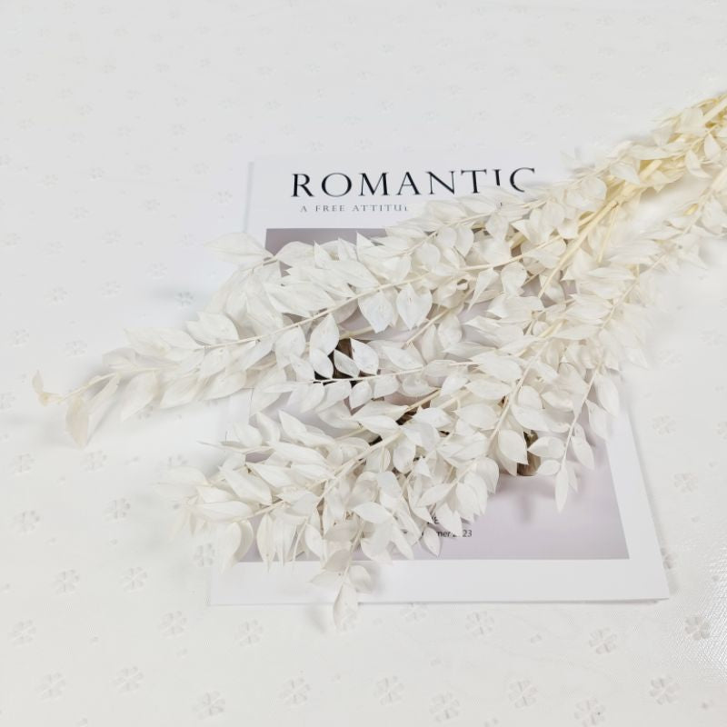 🇸🇬[SG Stock]Preserved Flowers Dried Flowers Preserved Ruscus Singapore Local Wholesaler Home Decoration/DIY/Wedding