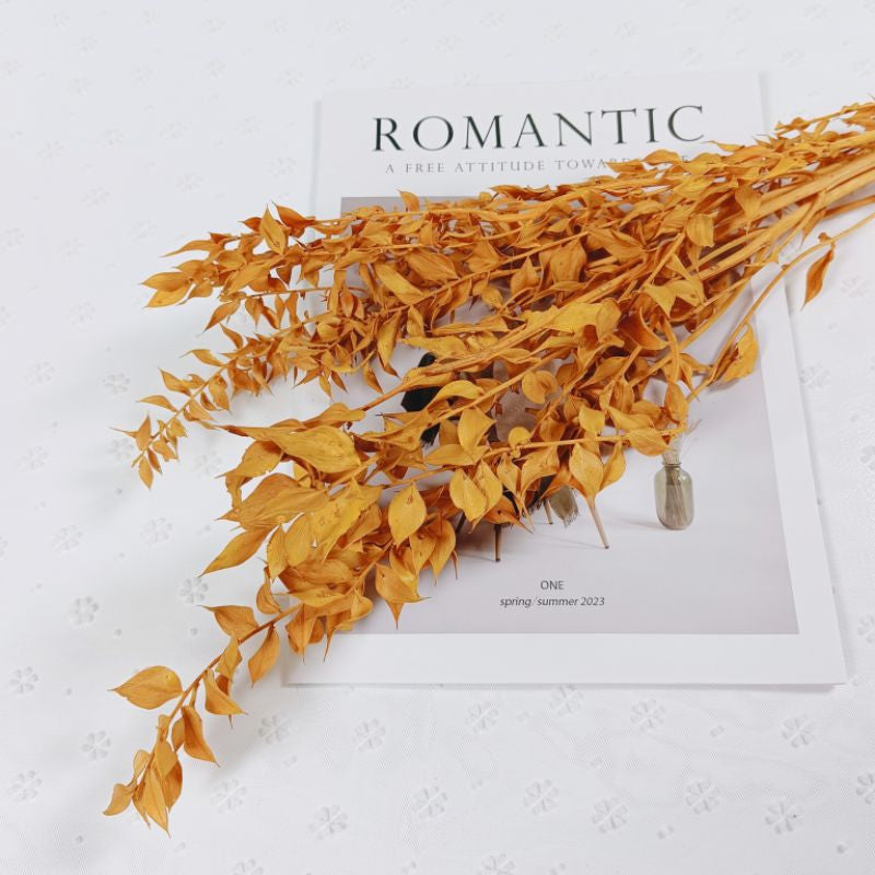 🇸🇬[SG Stock]Preserved Flowers Dried Flowers Preserved Ruscus Singapore Local Wholesaler Home Decoration/DIY/Wedding