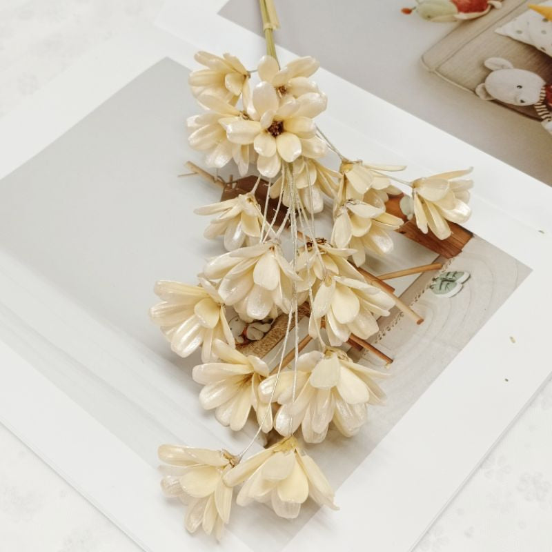 🇸🇬[SG Stock]Dream Garden Pearl color Golden Sliver Dried Flower Melon seed Flowers Handmade Japanese Wood Flowers