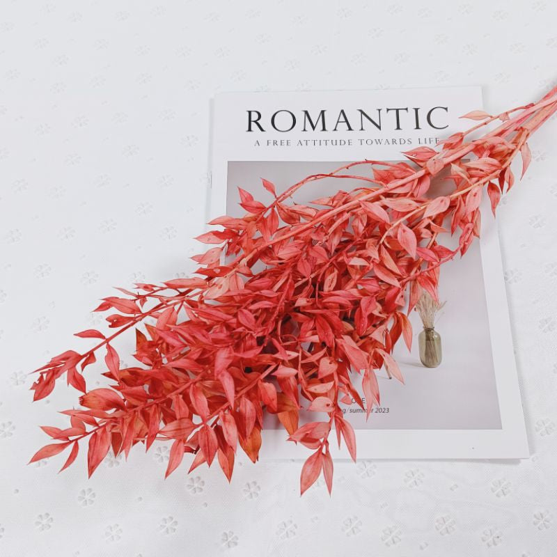 🇸🇬[SG Stock]Preserved Flowers Dried Flowers Preserved Ruscus Singapore Local Wholesaler Home Decoration/DIY/Wedding