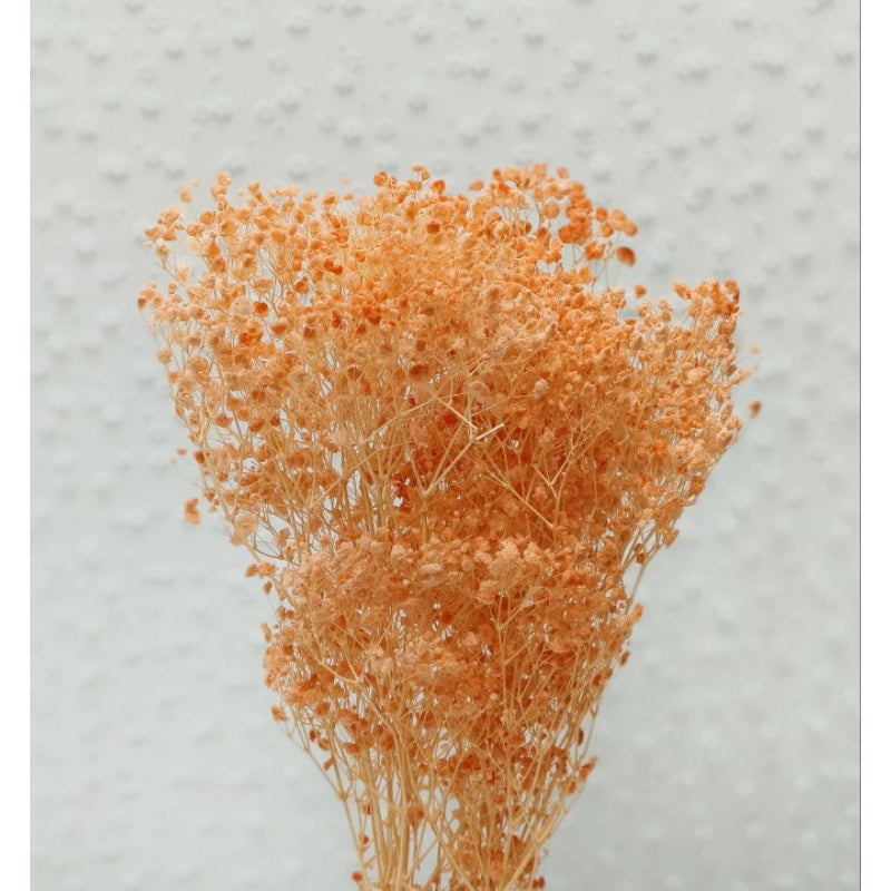 🇸🇬[SG Stock] Preserved Babybreath Dried Flower Singapore Local Wholesalers Home Decoration/DIY/Wedding