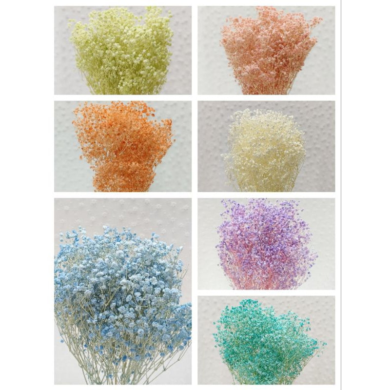 🇸🇬[SG Stock] Preserved Babybreath Dried Flower Singapore Local Wholesalers Home Decoration/DIY/Wedding