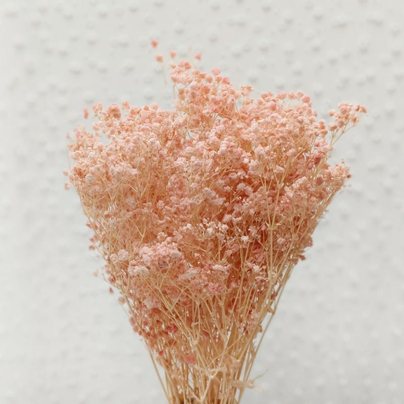 🇸🇬[SG Stock] Preserved Babybreath Dried Flower Singapore Local Wholesalers Home Decoration/DIY/Wedding