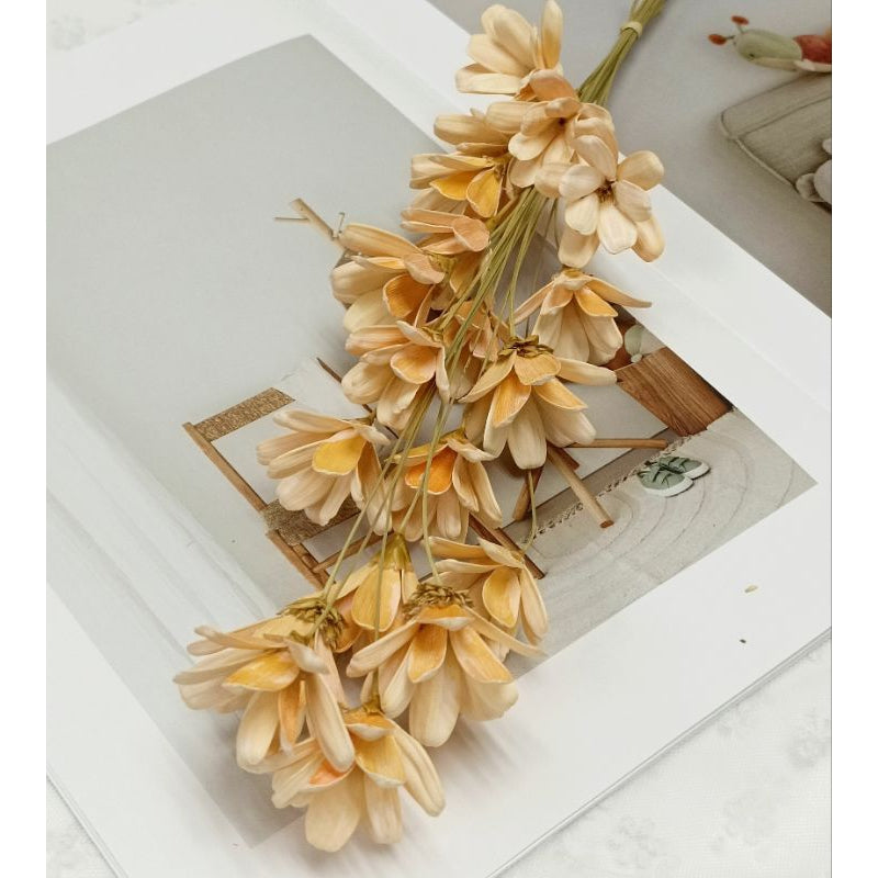 🇸🇬[SG Stock]Dream Garden Pearl color Golden Sliver Dried Flower Melon seed Flowers Handmade Japanese Wood Flowers