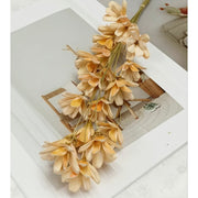 Pearl color Golden Sliver Dried Flower Melon seed Flowers | DreamGarden SG
