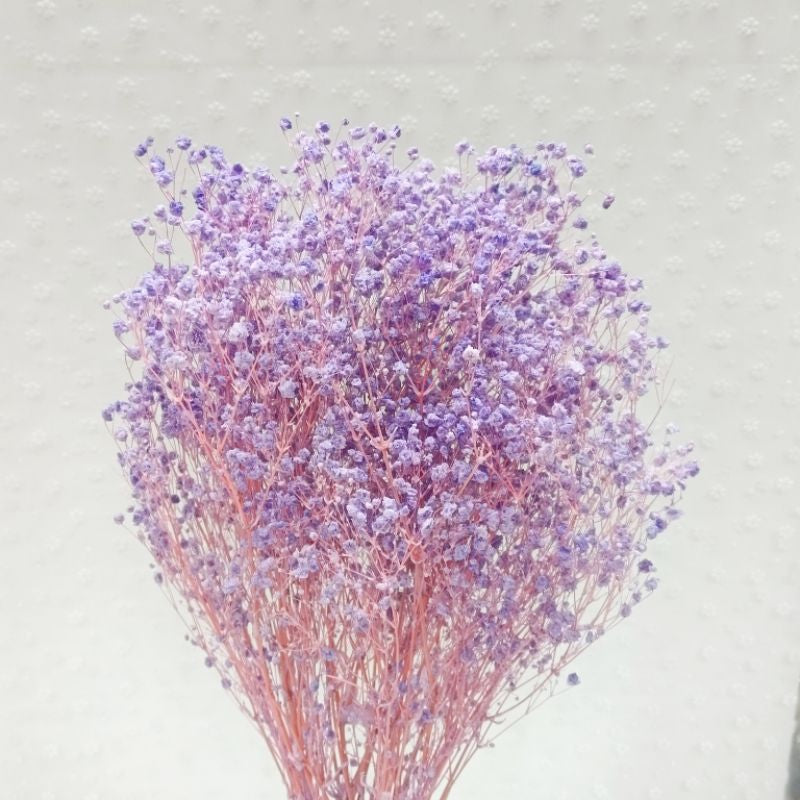 🇸🇬[SG Stock] Preserved Babybreath Dried Flower Singapore Local Wholesalers Home Decoration/DIY/Wedding
