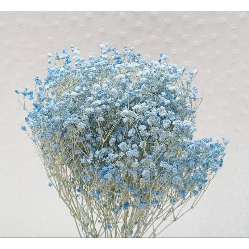 🇸🇬[SG Stock] Preserved Babybreath Dried Flower Singapore Local Wholesalers Home Decoration/DIY/Wedding
