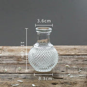 Minimalist Clear Reed diffuser Small Vintage Modern | DreamGarden SG