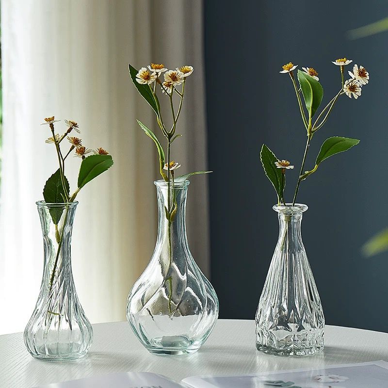 Minimalist Clear Reed diffuser Small Vintage Modern Hydroponic Tabletop Transparent Glass Fiower Vase