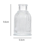 Minimalist Clear Small Vintage Modern Hydroponic Tabletop | DreamGarden SG
