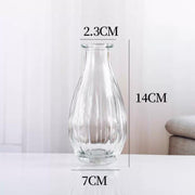 Reed diffuser Minimalist Clear Small Vintage Modern | DreamGarden SG