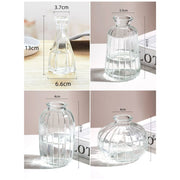 Minimalist Clear Small Vintage Modern Hydroponic Tabletop | DreamGarden SG