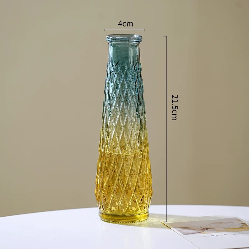 Reed diffuser Minimalist Clear Small Vintage Modern Hydroponic Tabletop Transparent Glass Fiower Vase