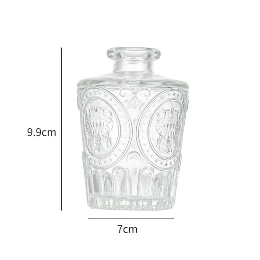 Minimalist Clear Small Vintage Modern Hydroponic Tabletop | DreamGarden SG