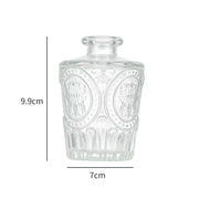 Minimalist Clear Small Vintage Modern Hydroponic Tabletop | DreamGarden SG