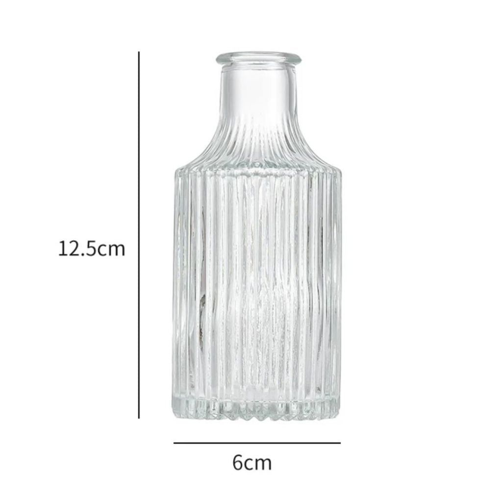 Minimalist Clear Small Vintage Modern Hydroponic Tabletop | DreamGarden SG