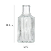 Minimalist Clear Small Vintage Modern Hydroponic Tabletop | DreamGarden SG