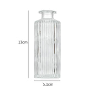 Minimalist Clear Small Vintage Modern Hydroponic Tabletop | DreamGarden SG