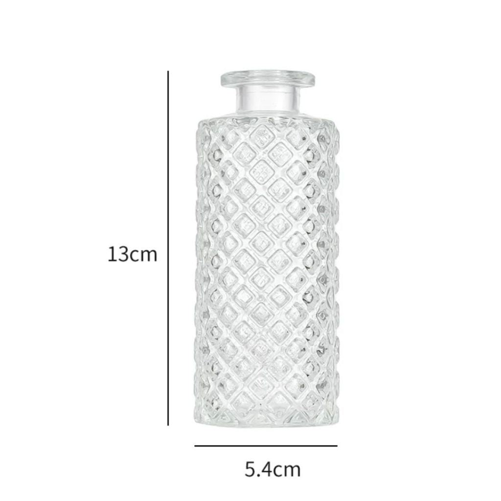 Minimalist Clear Small Vintage Modern Hydroponic Tabletop | DreamGarden SG