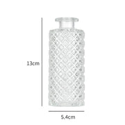 Minimalist Clear Small Vintage Modern Hydroponic Tabletop | DreamGarden SG