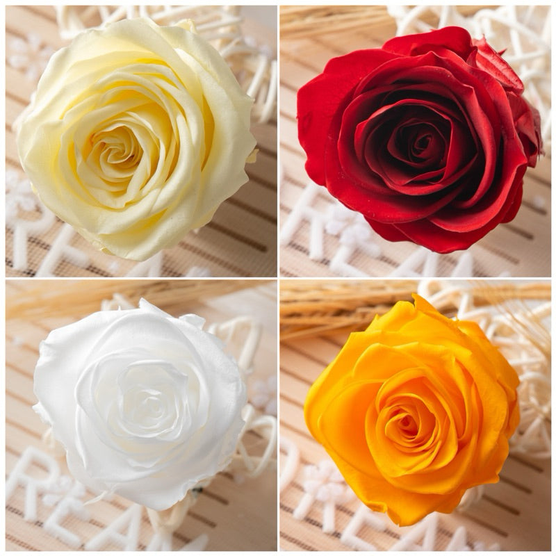 🇸🇬[SG Stock] Singapore Local Dream Garden Grade A  Preserved Flowers Dried Flowers Preserved Roses 4-5cm Immortal Flower