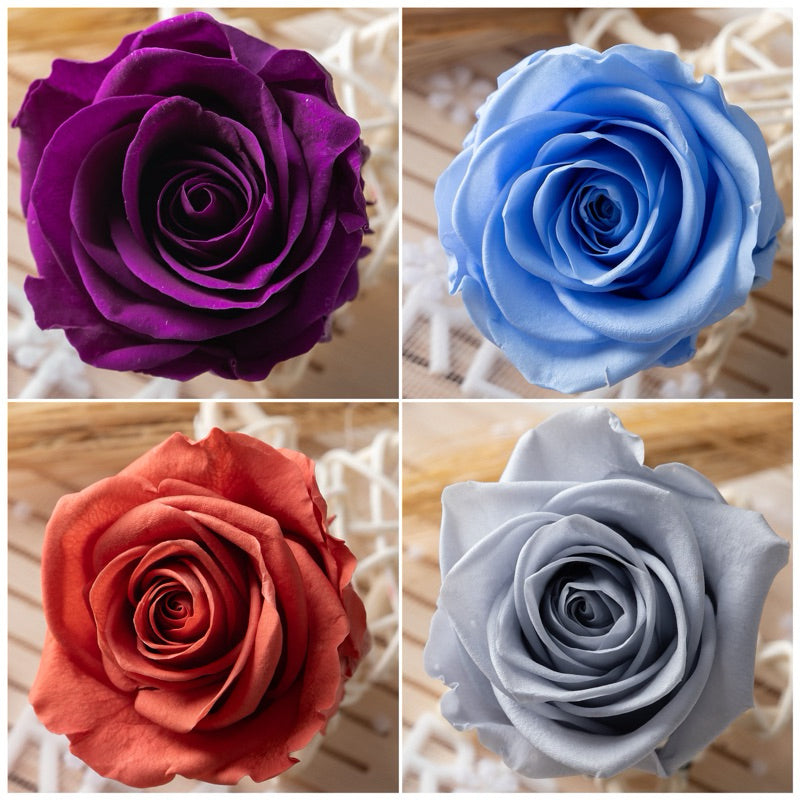 🇸🇬[SG Stock] Singapore Local Dream Garden Grade A  Preserved Flowers Dried Flowers Preserved Roses 4-5cm Immortal Flower