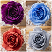 Grade A Preserved Flowers Preserved Roses 4-5cm Immortal | DreamGarden SG