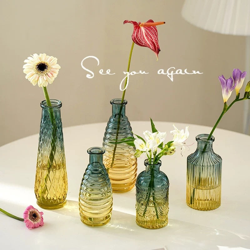 Reed diffuser Minimalist Clear Small Vintage Modern Hydroponic Tabletop Transparent Glass Fiower Vase