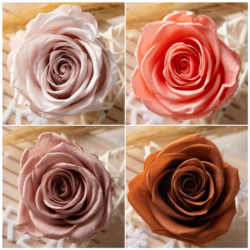 🇸🇬[SG Stock] Singapore Local Dream Garden Grade A  Preserved Flowers Dried Flowers Preserved Roses 4-5cm Immortal Flower