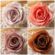 Grade A Preserved Flowers Preserved Roses 4-5cm Immortal | DreamGarden SG