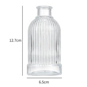 Minimalist Clear Small Vintage Modern Hydroponic Tabletop | DreamGarden SG