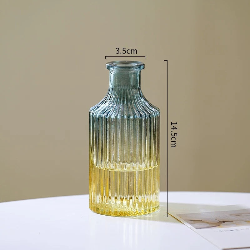 Reed diffuser Minimalist Clear Small Vintage Modern Hydroponic Tabletop Transparent Glass Fiower Vase