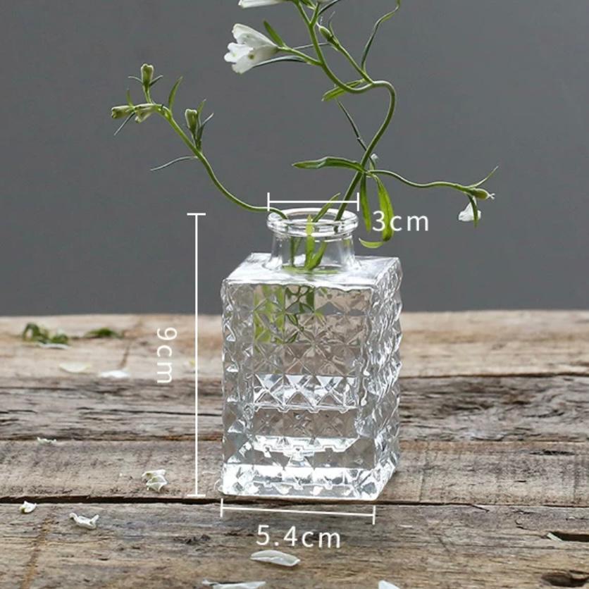 Minimalist Clear Reed diffuser Small Vintage Modern | DreamGarden SG