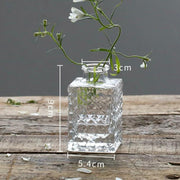 Minimalist Clear Reed diffuser Small Vintage Modern | DreamGarden SG