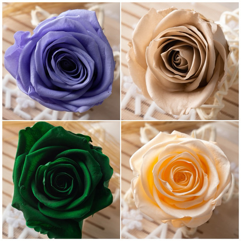 🇸🇬[SG Stock] Singapore Local Dream Garden Grade A  Preserved Flowers Dried Flowers Preserved Roses 4-5cm Immortal Flower