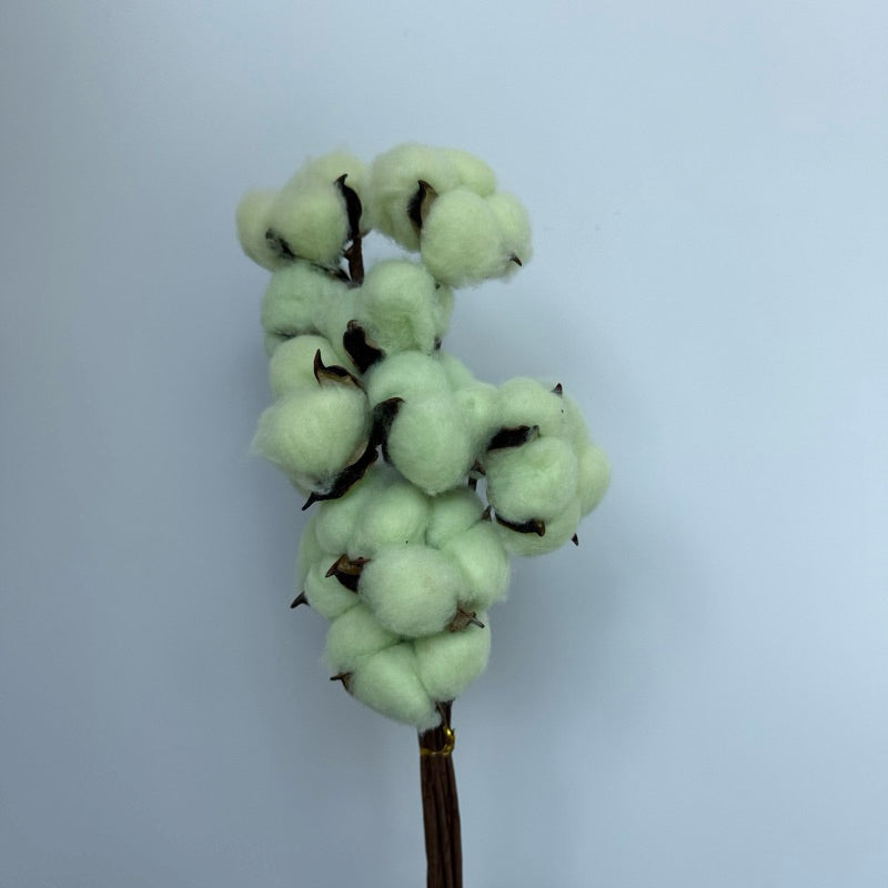 Cotton Flowers
