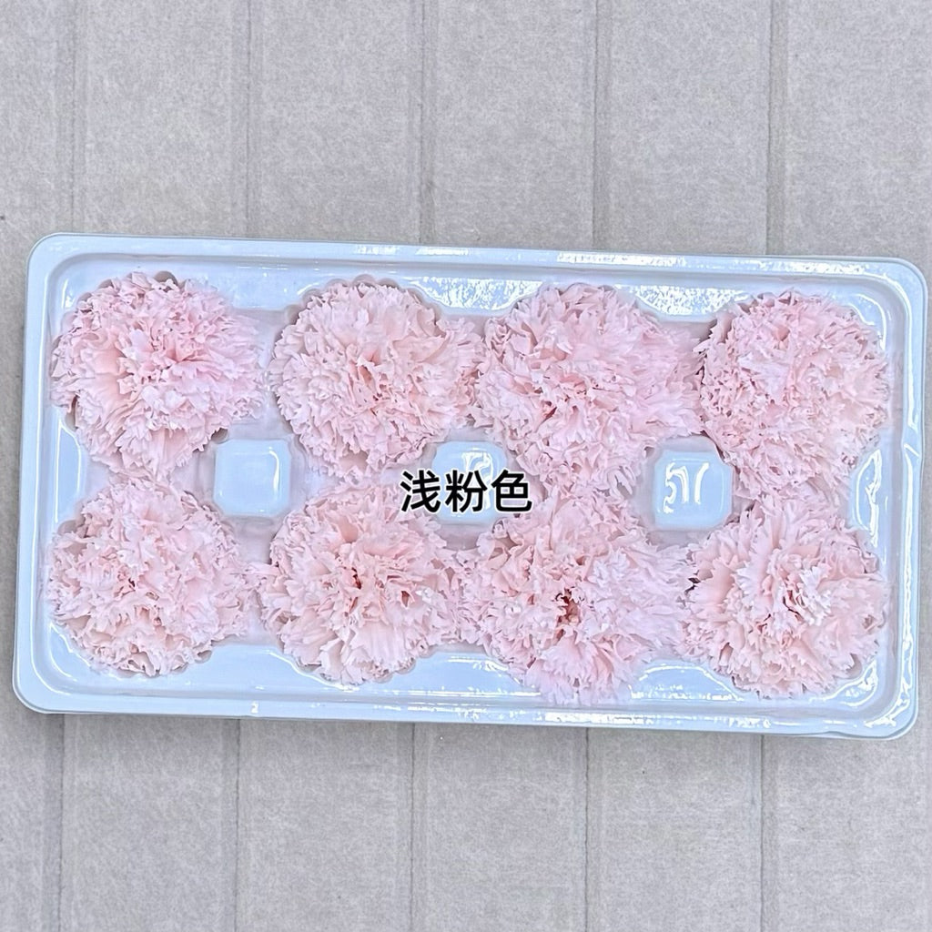 🇸🇬[SG Stock][Dream Garden]Grade A Preserved Carnation Preserved Flowers Dried Flowers Home Decoration/DIY/Wedding/Dome