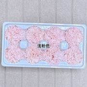 Grade A Preserved Carnation | DreamGarden SG