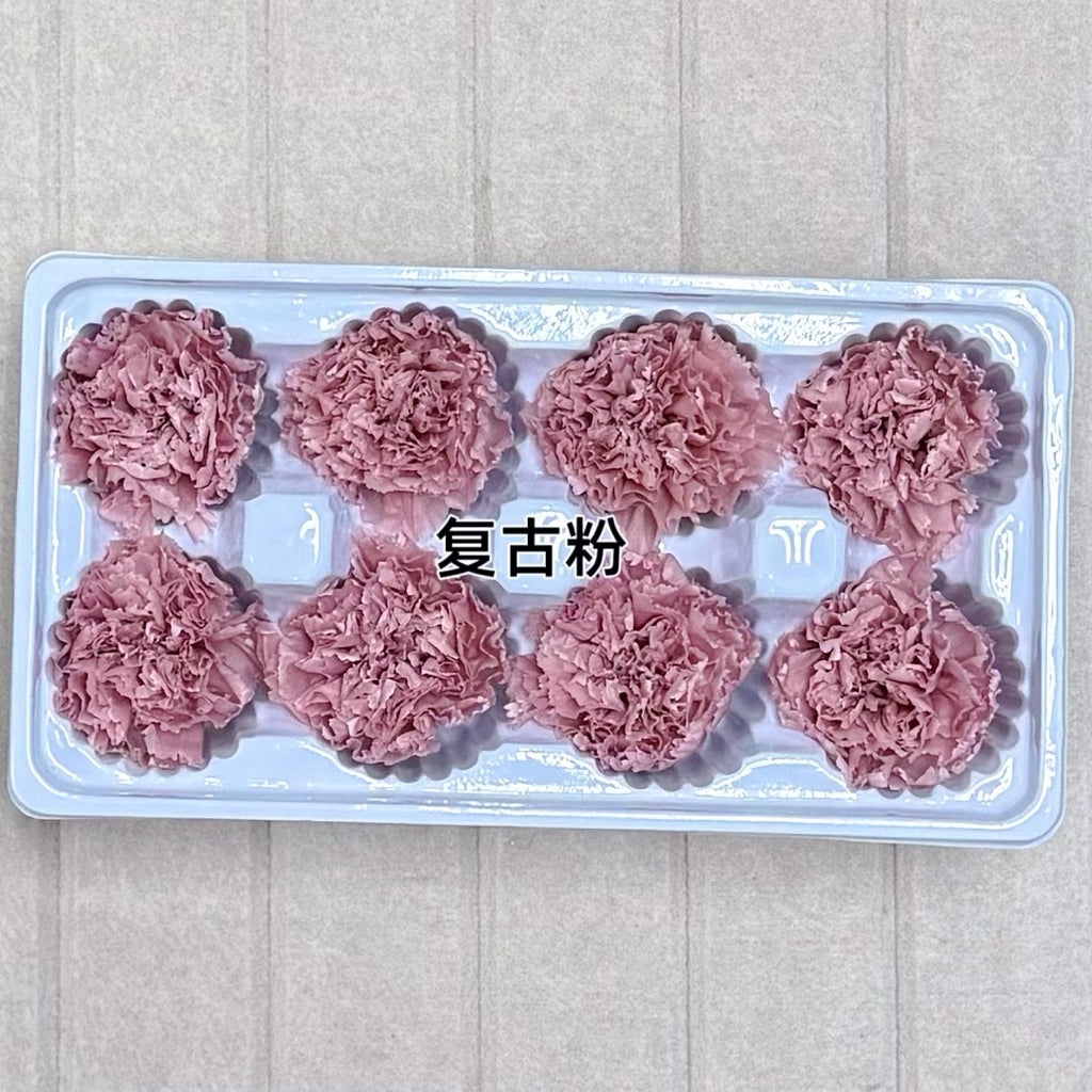 🇸🇬[SG Stock][Dream Garden]Grade A Preserved Carnation Preserved Flowers Dried Flowers Home Decoration/DIY/Wedding/Dome