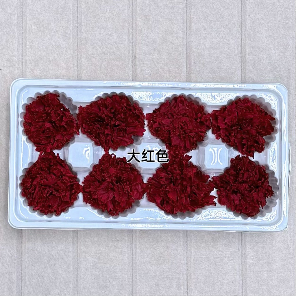 🇸🇬[SG Stock][Dream Garden]Grade A Preserved Carnation Preserved Flowers Dried Flowers Home Decoration/DIY/Wedding/Dome