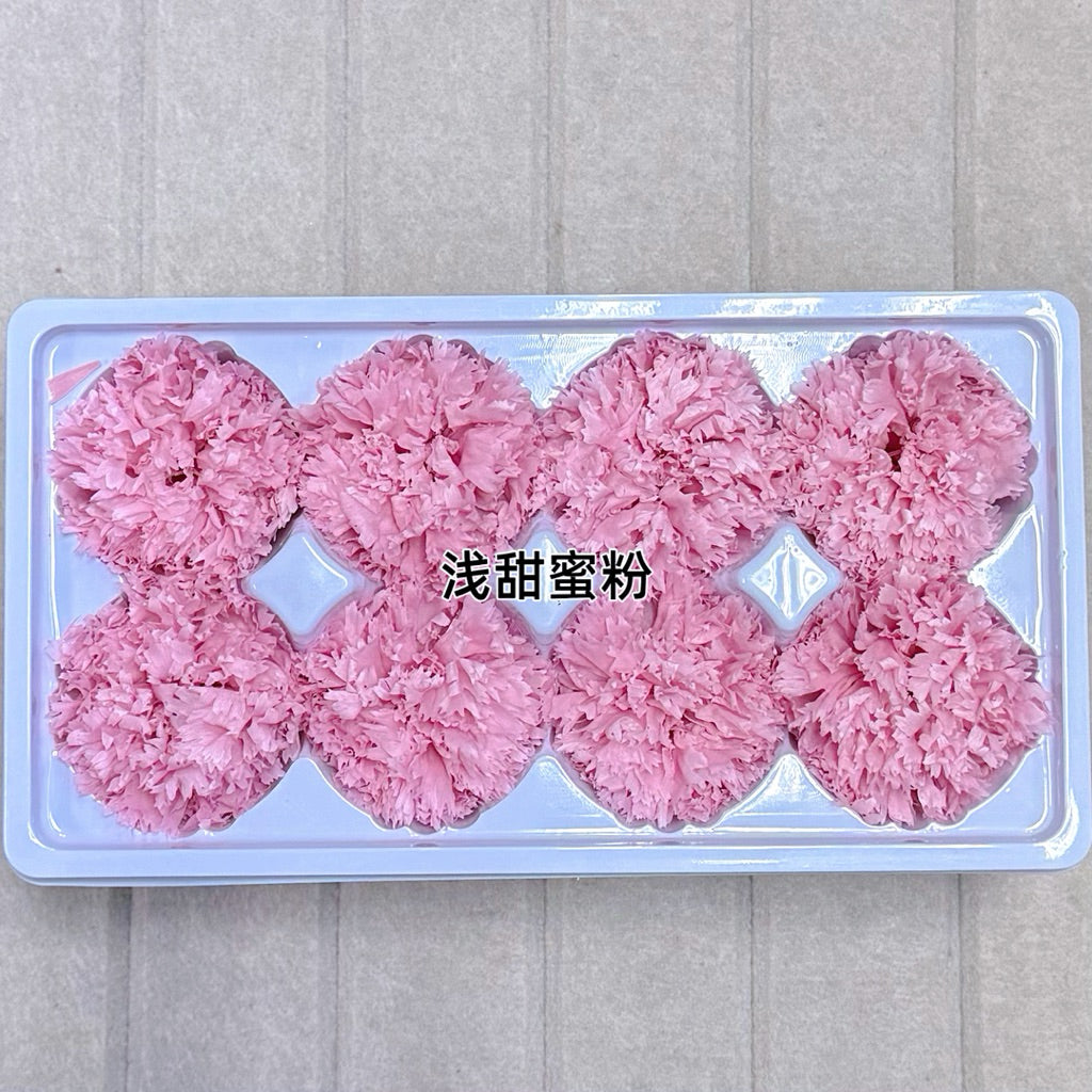 🇸🇬[SG Stock][Dream Garden]Grade A Preserved Carnation Preserved Flowers Dried Flowers Home Decoration/DIY/Wedding/Dome