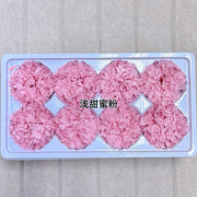 Grade A Preserved Carnation | DreamGarden SG