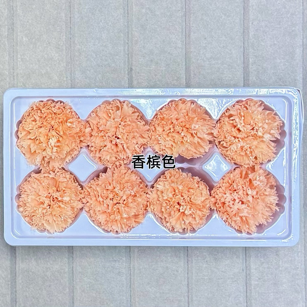 🇸🇬[SG Stock][Dream Garden]Grade A Preserved Carnation Preserved Flowers Dried Flowers Home Decoration/DIY/Wedding/Dome