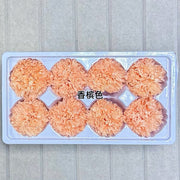 Grade A Preserved Carnation | DreamGarden SG