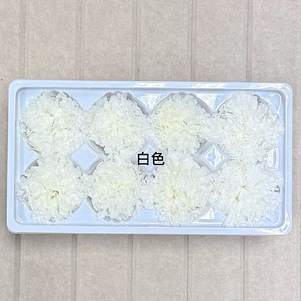 🇸🇬[SG Stock][Dream Garden]Grade A Preserved Carnation Preserved Flowers Dried Flowers Home Decoration/DIY/Wedding/Dome